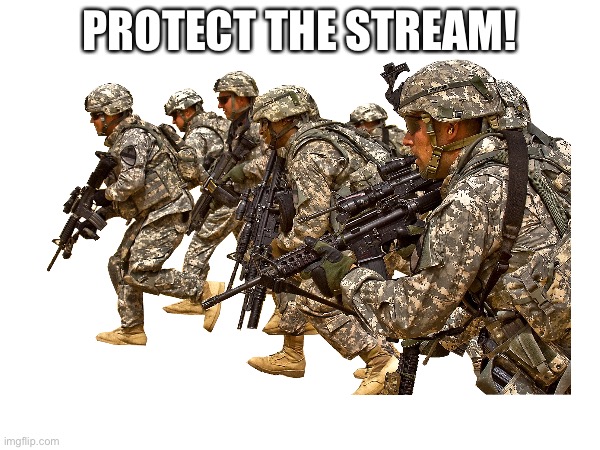 PROTECT THE STREAM! | image tagged in protection | made w/ Imgflip meme maker