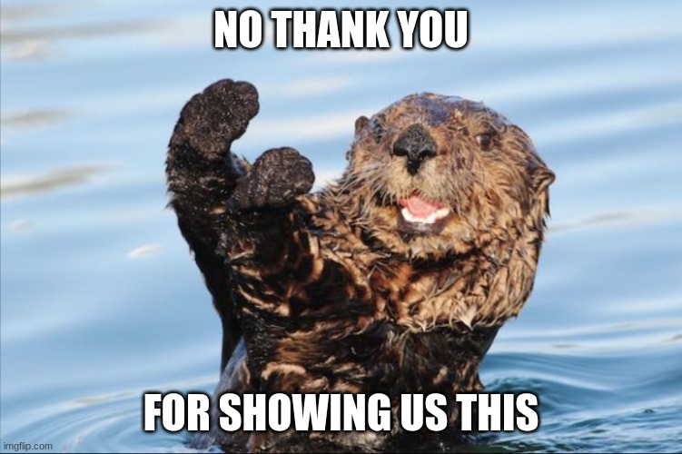 NO THANK YOU | NO THANK YOU FOR SHOWING US THIS | image tagged in no thank you | made w/ Imgflip meme maker