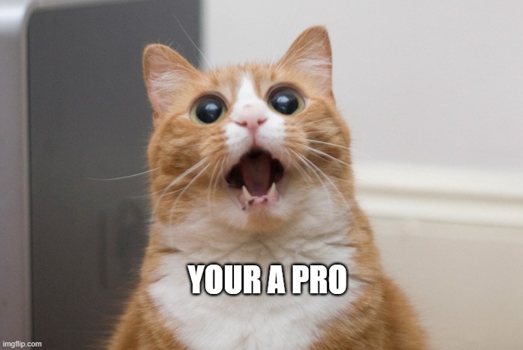 Amazed cat | YOUR A PRO | image tagged in amazed cat | made w/ Imgflip meme maker