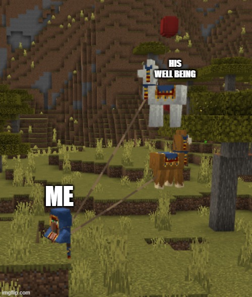 flying llamas | HIS WELL BEING ME | image tagged in flying llamas | made w/ Imgflip meme maker
