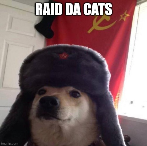 RAID DA CATS | image tagged in russian doge | made w/ Imgflip meme maker