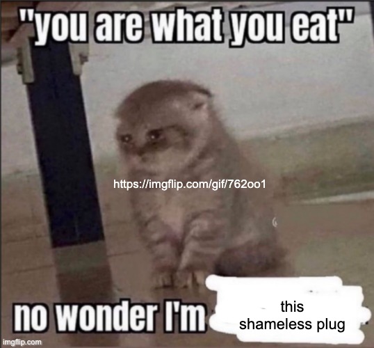 you are what you eat | https://imgflip.com/gif/762oo1; this shameless plug | image tagged in you are what you eat | made w/ Imgflip meme maker