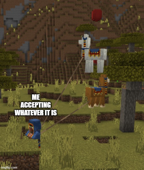 flying llamas | ME ACCEPTING WHATEVER IT IS | image tagged in flying llamas | made w/ Imgflip meme maker
