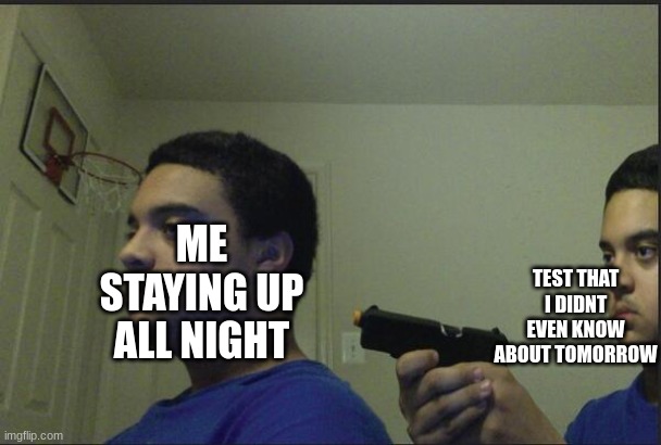 Trust Nobody, Not Even Yourself | ME STAYING UP ALL NIGHT; TEST THAT I DIDNT EVEN KNOW ABOUT TOMORROW | image tagged in trust nobody not even yourself | made w/ Imgflip meme maker