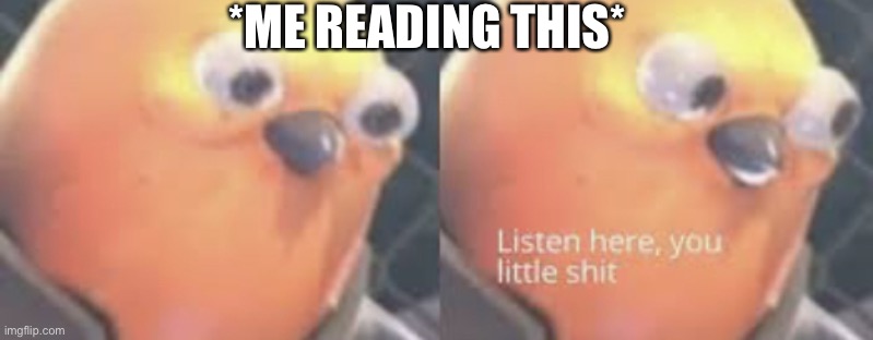 Listen here you little shit bird | *ME READING THIS* | image tagged in listen here you little shit bird | made w/ Imgflip meme maker