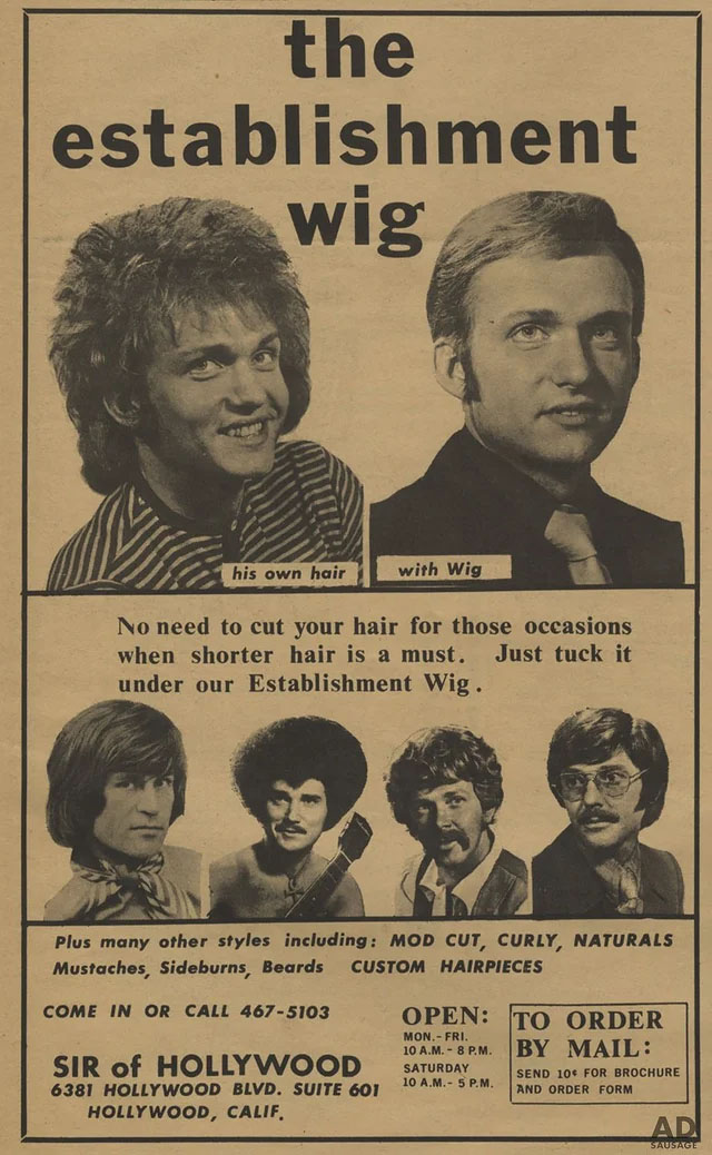 The establishment wig Blank Meme Template