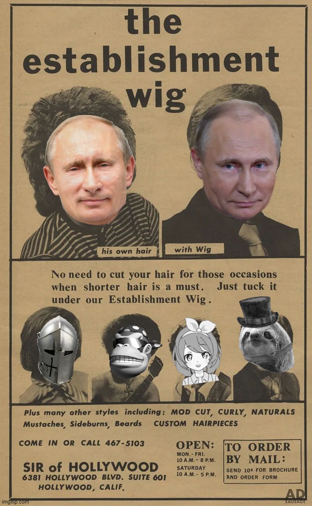 The establishment wig | image tagged in the establishment wig | made w/ Imgflip meme maker