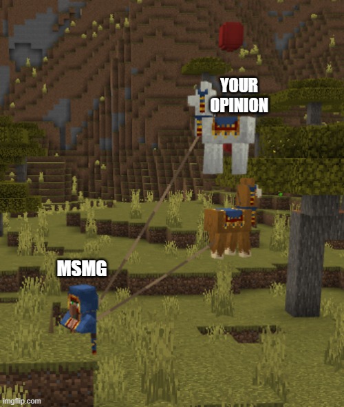 ... | YOUR OPINION; MSMG | image tagged in flying llamas | made w/ Imgflip meme maker
