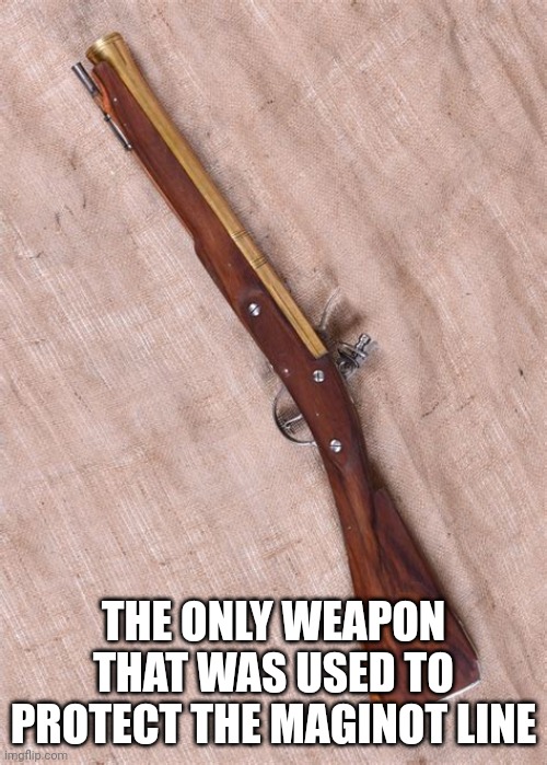 Blunderbuss | THE ONLY WEAPON THAT WAS USED TO PROTECT THE MAGINOT LINE | image tagged in blunderbuss | made w/ Imgflip meme maker