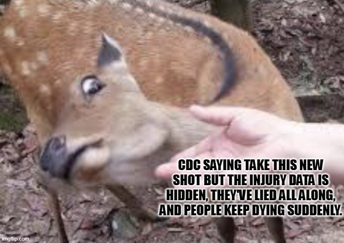 Deer nope on the shot | CDC SAYING TAKE THIS NEW SHOT BUT THE INJURY DATA IS HIDDEN, THEY'VE LIED ALL ALONG, AND PEOPLE KEEP DYING SUDDENLY. | image tagged in nope deer,vaccine,covid | made w/ Imgflip meme maker