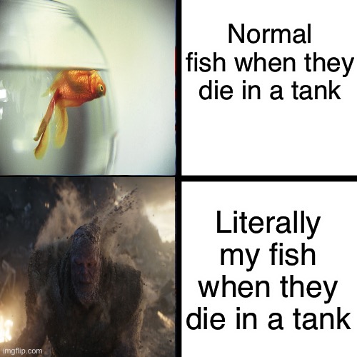 I swear I legit saw one in my tank going to die, I come back an hour later and its body is shredded to pieces | Normal fish when they die in a tank; Literally my fish when they die in a tank | image tagged in mr krabs panic vs calm | made w/ Imgflip meme maker
