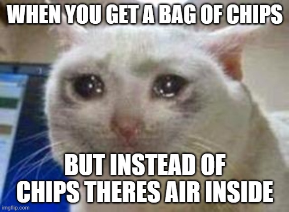 Sad cat | WHEN YOU GET A BAG OF CHIPS; BUT INSTEAD OF CHIPS THERES AIR INSIDE | image tagged in sad cat | made w/ Imgflip meme maker