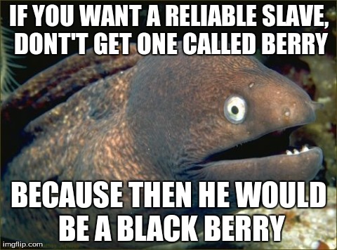 Bad Joke Eel Meme | IF YOU WANT A RELIABLE SLAVE, DONT'T GET ONE CALLED BERRY BECAUSE THEN HE WOULD BE A BLACK BERRY | image tagged in memes,bad joke eel | made w/ Imgflip meme maker