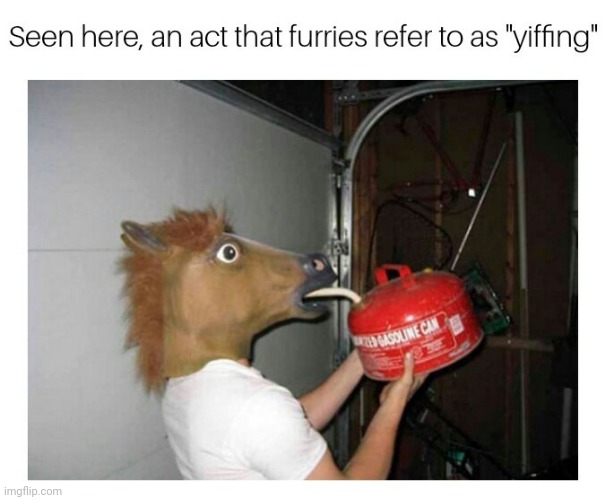 Yiff | image tagged in yiff | made w/ Imgflip meme maker