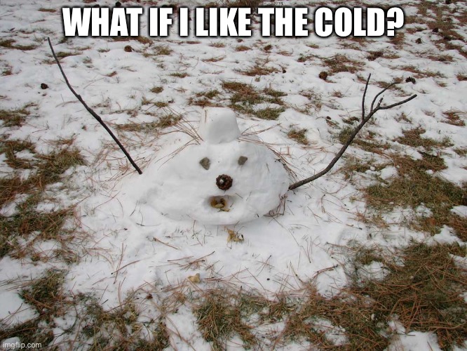 Melted Snowman | WHAT IF I LIKE THE COLD? | image tagged in melted snowman | made w/ Imgflip meme maker