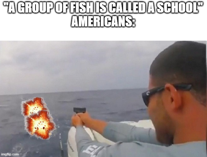 very dark | "A GROUP OF FISH IS CALLED A SCHOOL"
AMERICANS: | image tagged in memes | made w/ Imgflip meme maker