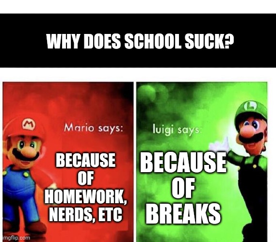 Hope you agree | WHY DOES SCHOOL SUCK? BECAUSE OF HOMEWORK, NERDS, ETC; BECAUSE OF BREAKS | image tagged in mario bros views | made w/ Imgflip meme maker