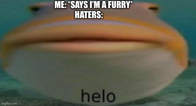 It’s gonna happen with this meme to X33 | ME: *SAYS I’M A FURRY*; HATERS: | image tagged in helo,furry,haters | made w/ Imgflip meme maker