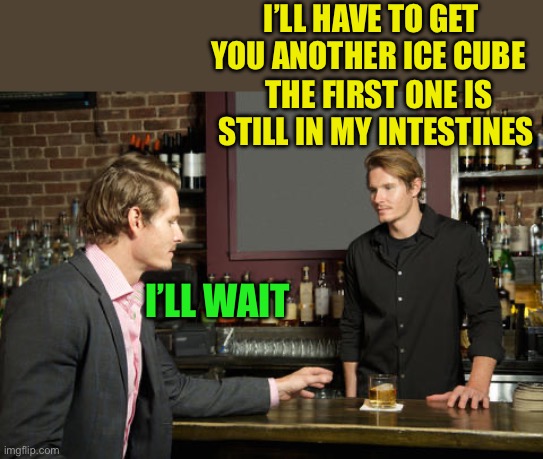 Guy talking to bartender | I’LL HAVE TO GET YOU ANOTHER ICE CUBE THE FIRST ONE IS STILL IN MY INTESTINES I’LL WAIT | image tagged in guy talking to bartender | made w/ Imgflip meme maker