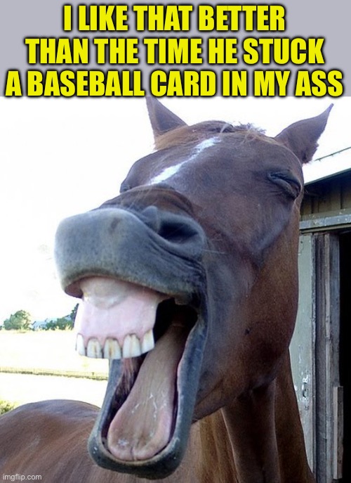 Funny Horse Face | I LIKE THAT BETTER THAN THE TIME HE STUCK A BASEBALL CARD IN MY ASS | image tagged in funny horse face | made w/ Imgflip meme maker