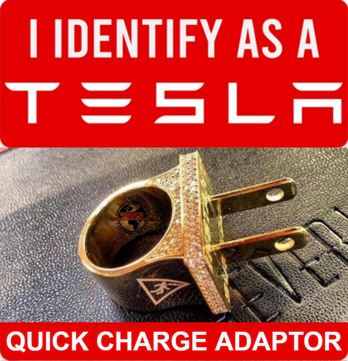 Are You Woke, Yet? | image tagged in tesla,quick charge adaptor,woke,natural selection,darwin award,never go full retard | made w/ Imgflip meme maker