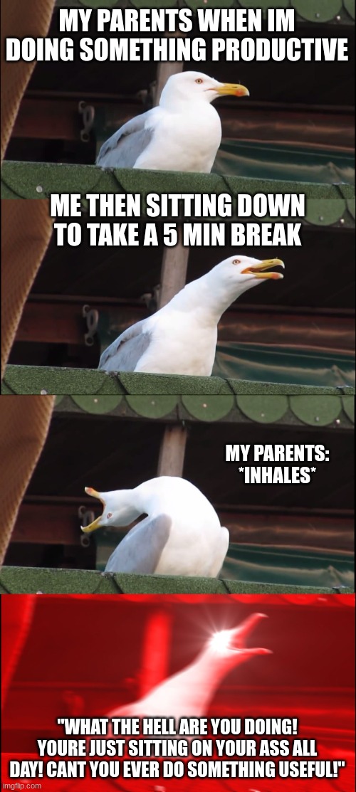 Typical :/ | MY PARENTS WHEN IM DOING SOMETHING PRODUCTIVE; ME THEN SITTING DOWN TO TAKE A 5 MIN BREAK; MY PARENTS: *INHALES*; "WHAT THE HELL ARE YOU DOING! YOURE JUST SITTING ON YOUR ASS ALL DAY! CANT YOU EVER DO SOMETHING USEFUL!" | image tagged in memes,inhaling seagull,triggered,parents,funny,dank memes | made w/ Imgflip meme maker