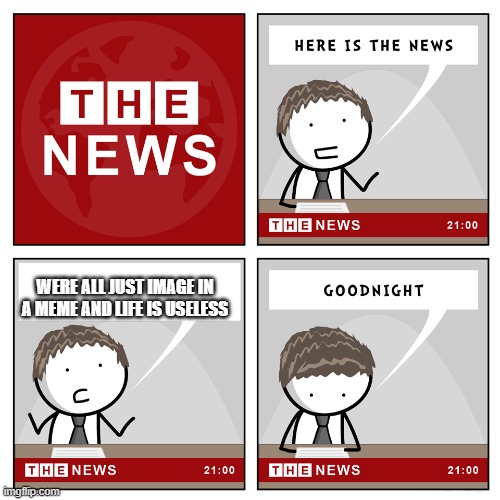 the news | WERE ALL JUST IMAGE IN A MEME AND LIFE IS USELESS | image tagged in the news | made w/ Imgflip meme maker