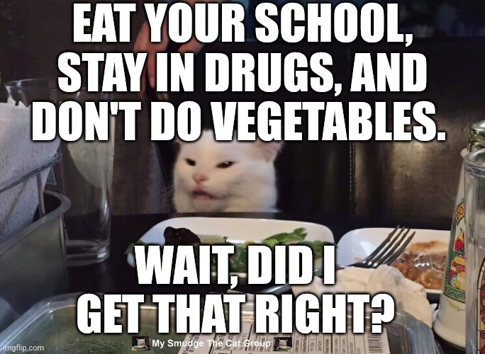 EAT YOUR SCHOOL, STAY IN DRUGS, AND DON'T DO VEGETABLES. WAIT, DID I GET THAT RIGHT? | image tagged in smudge the cat | made w/ Imgflip meme maker