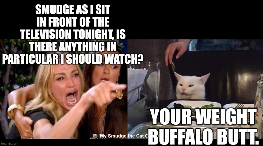 SMUDGE AS I SIT IN FRONT OF THE TELEVISION TONIGHT, IS THERE ANYTHING IN PARTICULAR I SHOULD WATCH? YOUR WEIGHT BUFFALO BUTT. | image tagged in smudge the cat | made w/ Imgflip meme maker