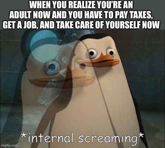 Private Internal Screaming | WHEN YOU REALIZE YOU’RE AN ADULT NOW AND YOU HAVE TO PAY TAXES, GET A JOB, AND TAKE CARE OF YOURSELF NOW | image tagged in private internal screaming | made w/ Imgflip meme maker