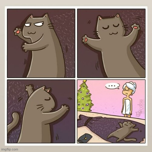 A Cat Lady's Way Of Thinking | image tagged in memes,comics,cats,hair,cat lady,omg | made w/ Imgflip meme maker