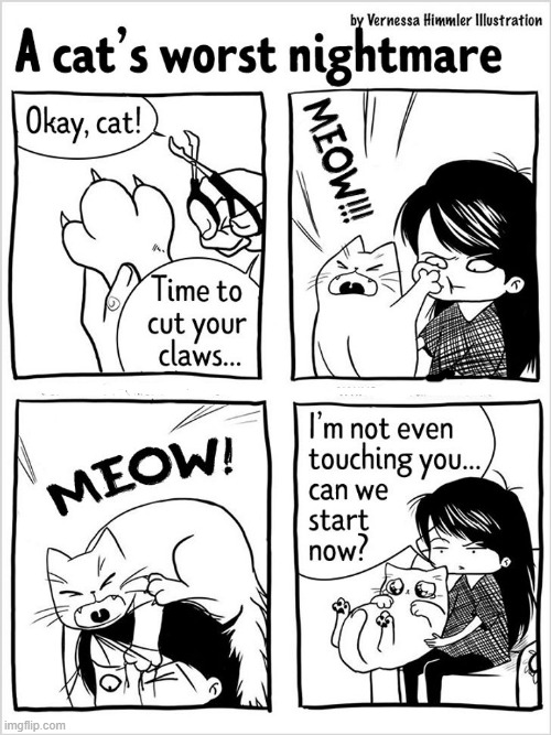 image tagged in memes,comics,cat lady,cut,cats,nails | made w/ Imgflip meme maker