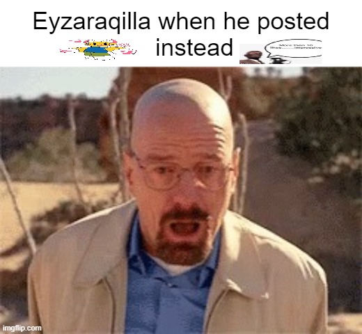 Walter White | Eyzaraqilla when he posted
    instead | image tagged in walter white | made w/ Imgflip meme maker