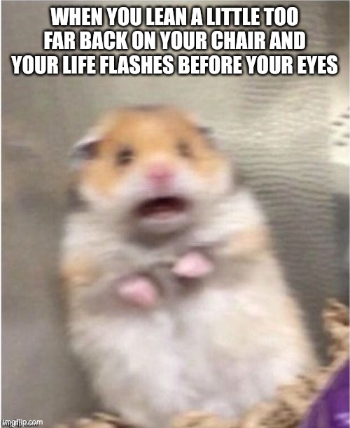 Scared Hamster | WHEN YOU LEAN A LITTLE TOO FAR BACK ON YOUR CHAIR AND YOUR LIFE FLASHES BEFORE YOUR EYES | image tagged in scared hamster,life,eyes,chair | made w/ Imgflip meme maker