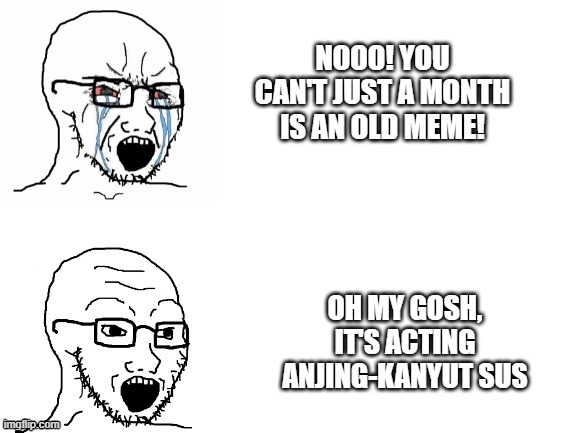 Any meme who was an old month | NOOO! YOU CAN'T JUST A MONTH IS AN OLD MEME! OH MY GOSH, IT'S ACTING ANJING-KANYUT SUS | image tagged in crying hypocrite wojak,memes | made w/ Imgflip meme maker