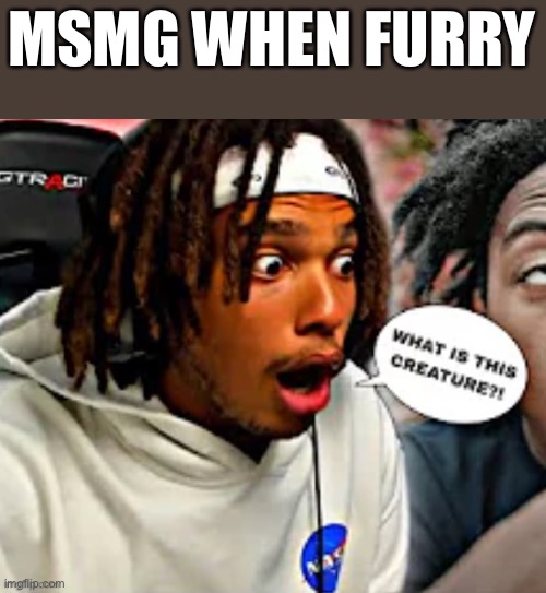 MSMG WHEN FURRY | made w/ Imgflip meme maker