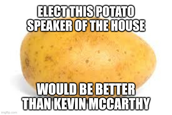 Elect This Potato Speaker of the House | image tagged in you can pick only one choose wisely,potato,kevin mccarthy,speaker of the house,republicans,special kind of stupid | made w/ Imgflip meme maker