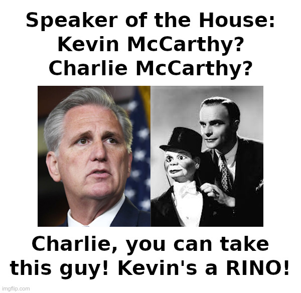 Which Dummy Do You Want? | image tagged in kevin mccarthy,rino,charlie mccarthy,dummy,speaker of the house | made w/ Imgflip meme maker