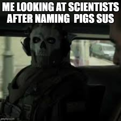 ME LOOKING AT SCIENTISTS
AFTER NAMING  PIGS SUS | made w/ Imgflip meme maker