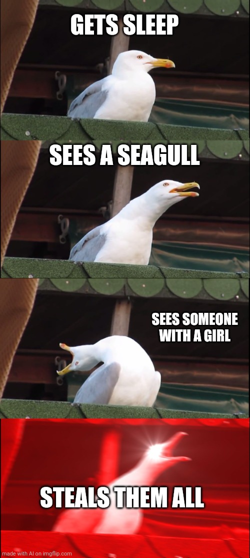 Steals them all? | GETS SLEEP; SEES A SEAGULL; SEES SOMEONE WITH A GIRL; STEALS THEM ALL | image tagged in memes,inhaling seagull | made w/ Imgflip meme maker