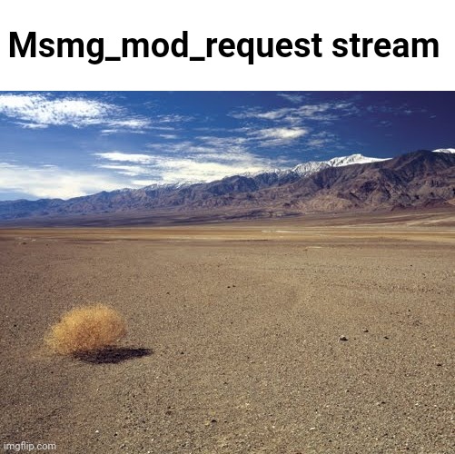 desert tumbleweed | Msmg_mod_request stream | image tagged in desert tumbleweed | made w/ Imgflip meme maker