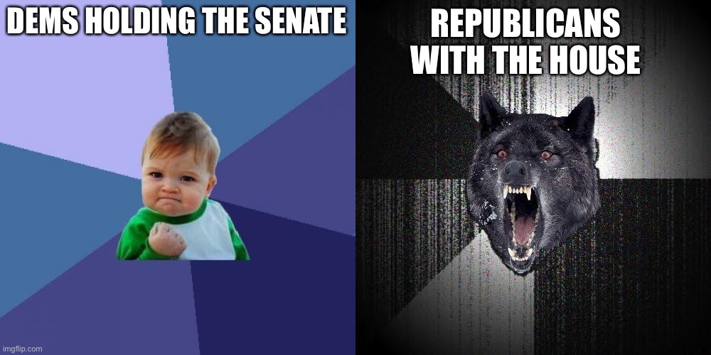 REPUBLICANS WITH THE HOUSE; DEMS HOLDING THE SENATE | image tagged in memes,success kid,insanity wolf | made w/ Imgflip meme maker
