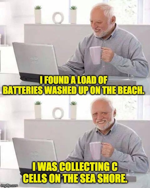 Batteries | image tagged in bad pun | made w/ Imgflip meme maker