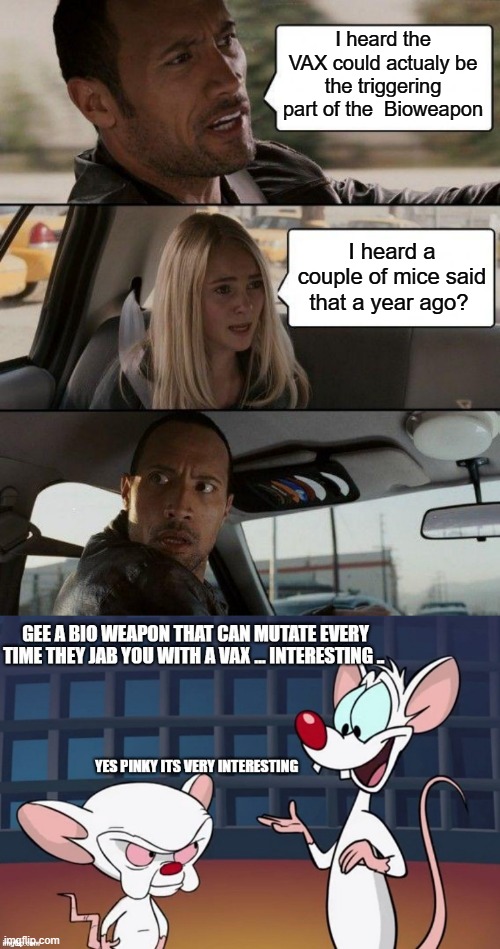 TINFOIL HAT theroy # 9 playing out before your very eye's.. Gee imagin that.. | I heard the VAX could actualy be the triggering part of the  Bioweapon; I heard a couple of mice said that a year ago? | image tagged in memes,the rock driving | made w/ Imgflip meme maker