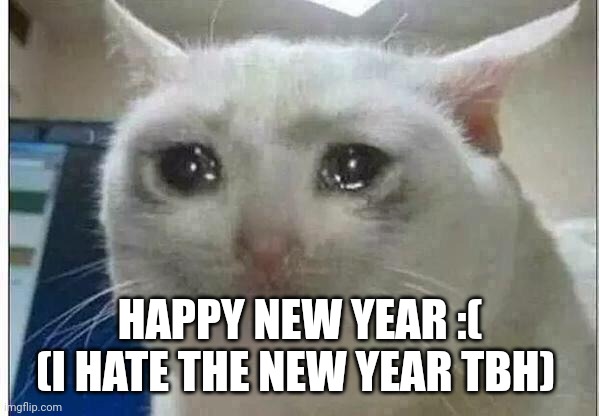 crying cat | HAPPY NEW YEAR :(
(I HATE THE NEW YEAR TBH) | image tagged in crying cat | made w/ Imgflip meme maker