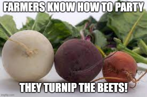 Party On | FARMERS KNOW HOW TO PARTY; THEY TURNIP THE BEETS! | image tagged in eyeroll | made w/ Imgflip meme maker