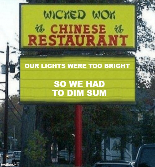 Bright | OUR LIGHTS WERE TOO BRIGHT; SO WE HAD TO DIM SUM | image tagged in chinese restaurant | made w/ Imgflip meme maker