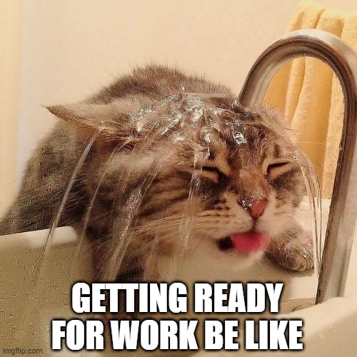 worklife | GETTING READY FOR WORK BE LIKE | image tagged in cat,funny cats | made w/ Imgflip meme maker