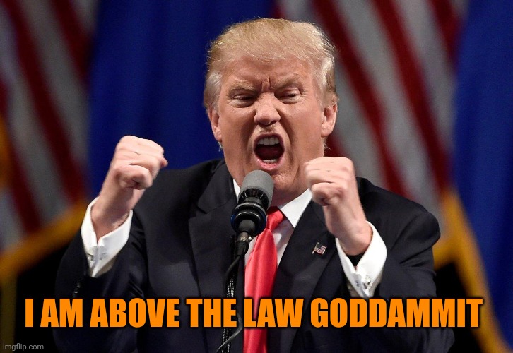 Angry Donald Trump  | I AM ABOVE THE LAW GODDAMMIT | image tagged in angry donald trump | made w/ Imgflip meme maker