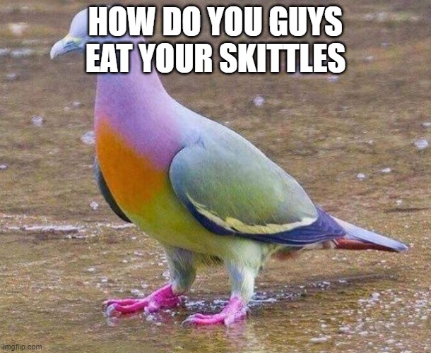 honestly | HOW DO YOU GUYS EAT YOUR SKITTLES | image tagged in skittles pigeon | made w/ Imgflip meme maker